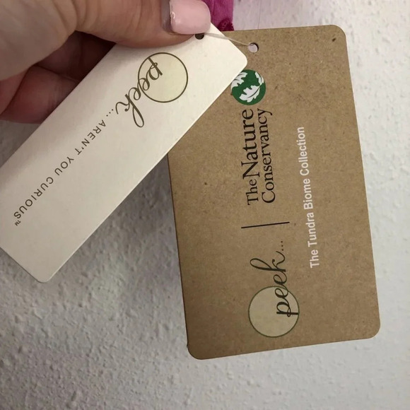 NWT Peek x The Nature Conservatory shirt long sleeve Chilly Polar Bear pink 2T - Picture 5 of 9